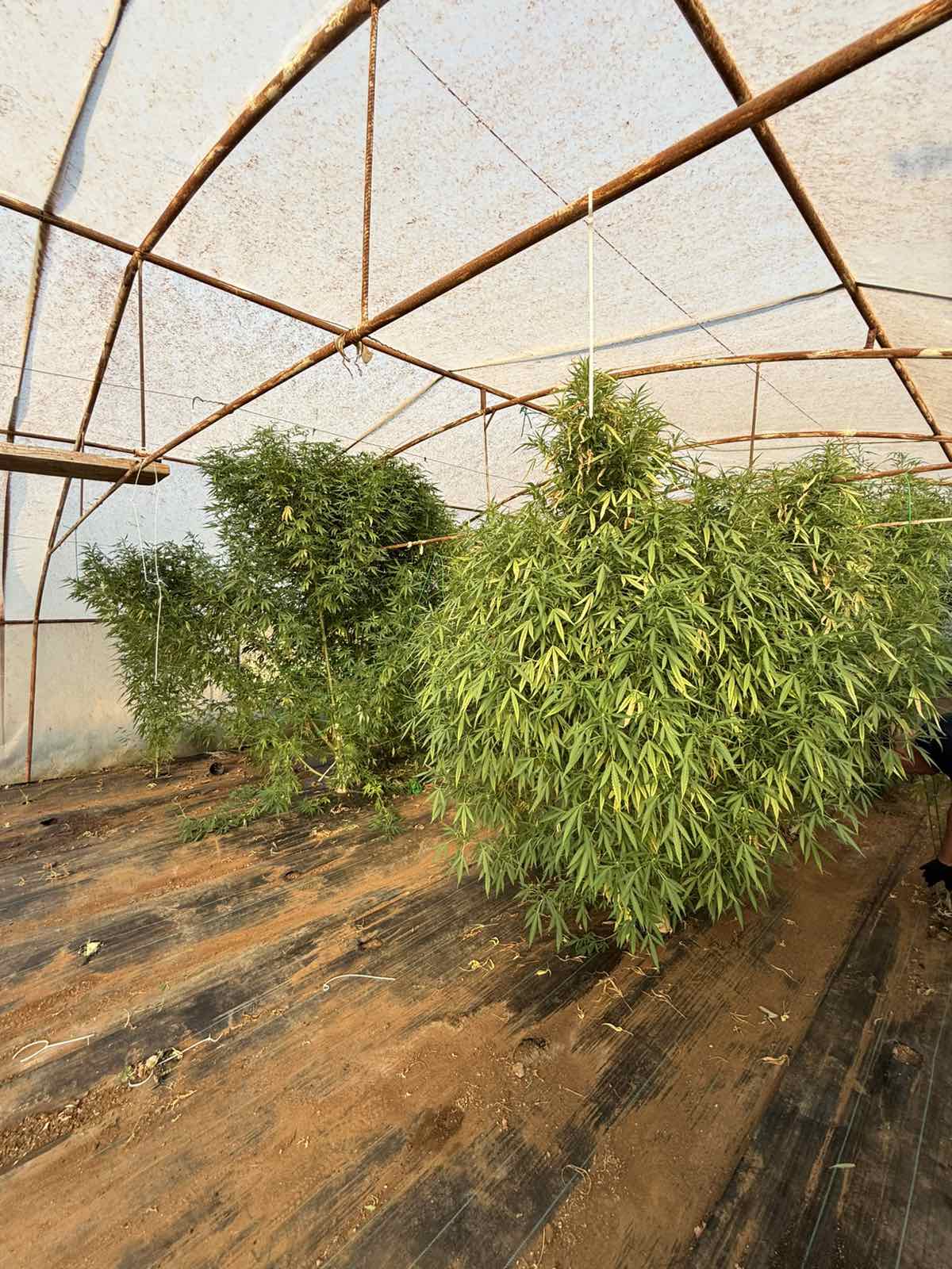 droga 01.jpg